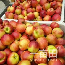 一亩田网络 赋能费县林青峰农产品批发采购的新渠道