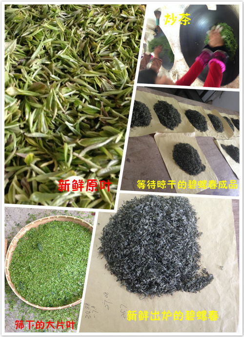 从一亩田到百亩田 数字化农业平台的规模化探索